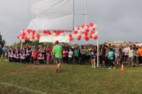 running for the cure